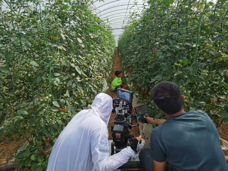 商水县产品宣传视频拍摄公司进阶指南，助力品牌抢占传播高地